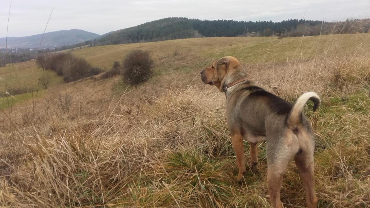 Farm stay Dom Na Rozdrozu Ustrzyki Dolne