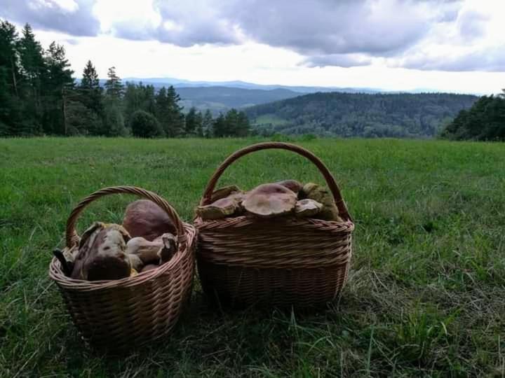 Dom Na Rozdrozu Farm stay