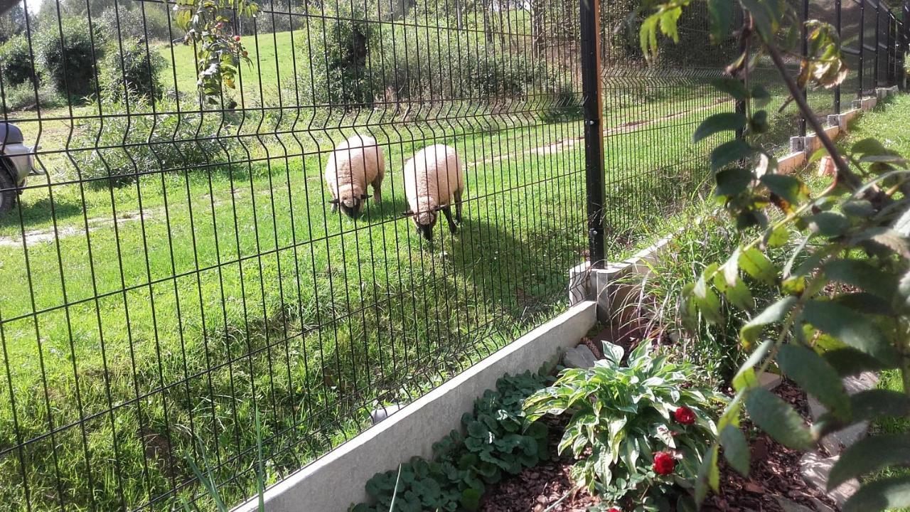 Farm stay Dom Na Rozdrozu *