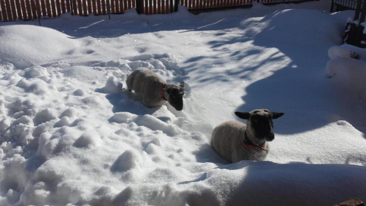 Dom Na Rozdrozu Farm stay *