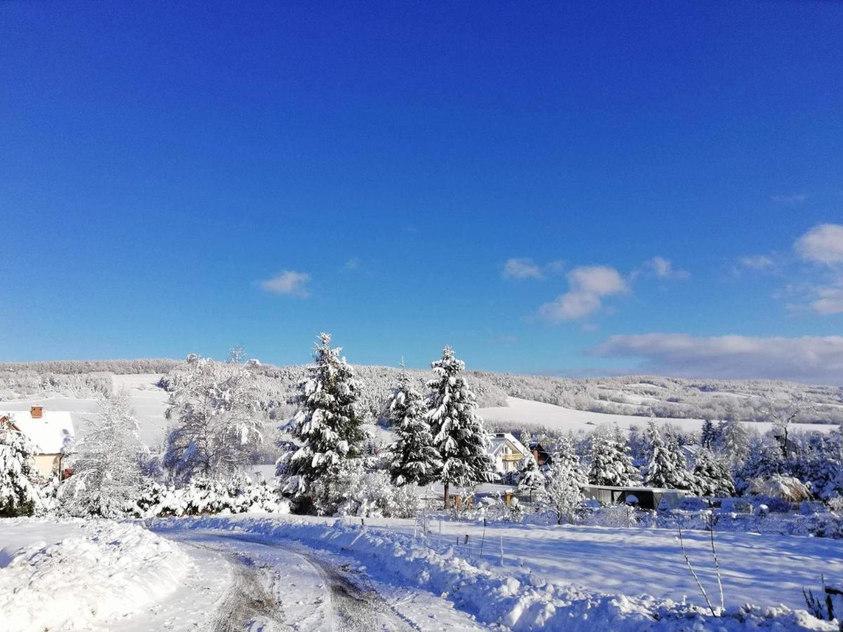 Farm stay Dom Na Rozdrozu Ustrzyki Dolne